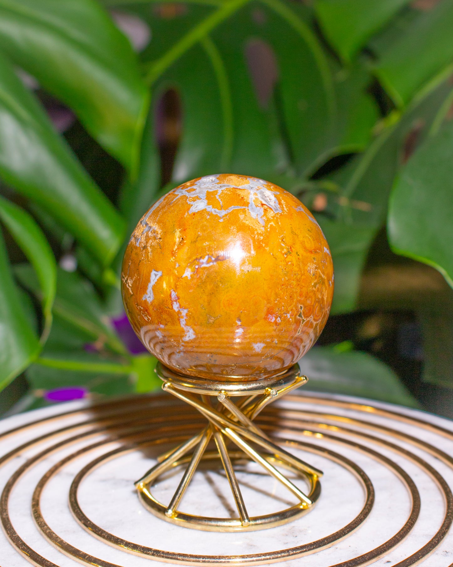 Druzy Golden Orbicular Ocean Jasper Sphere