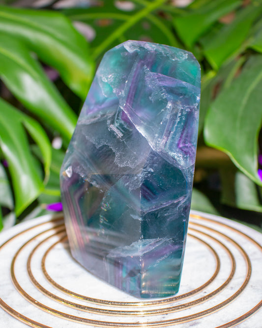 Jumbo Gemmy High Grade Fluorite Freeform