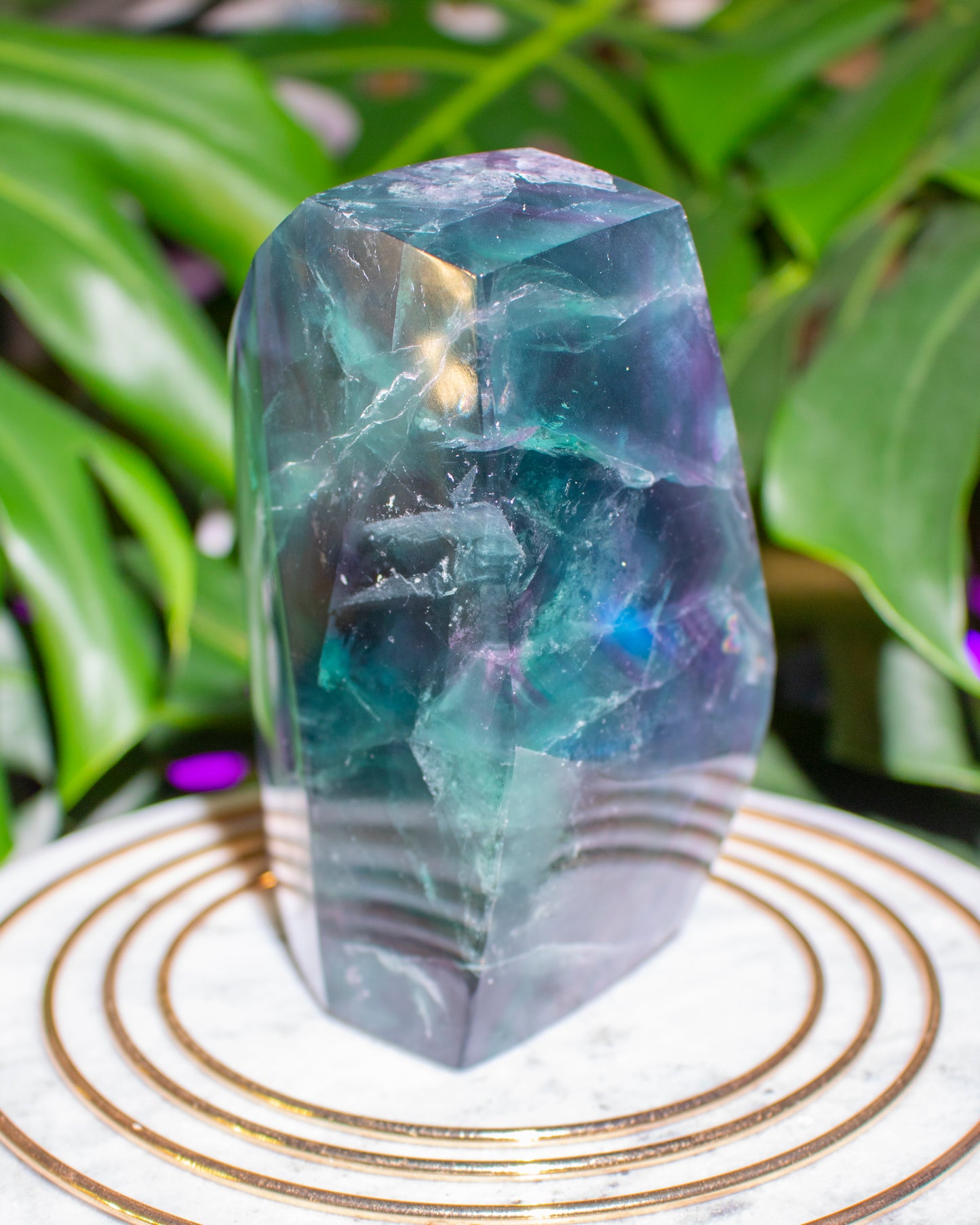 Jumbo Gemmy High Grade Fluorite Freeform