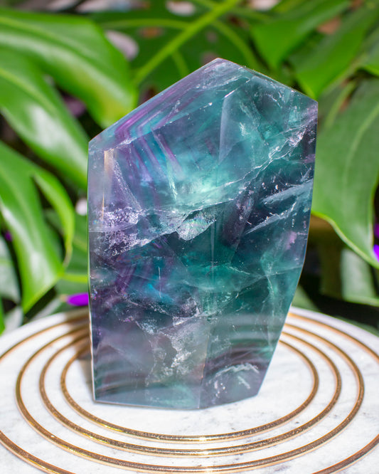 Jumbo Gemmy High Grade Fluorite Freeform