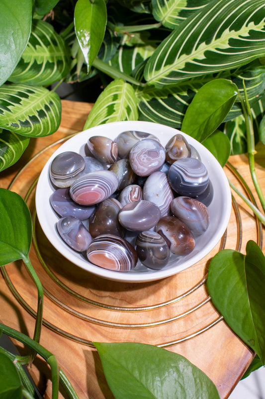 Botswana Agate Tumble